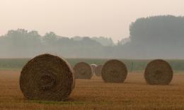 Round hay bales